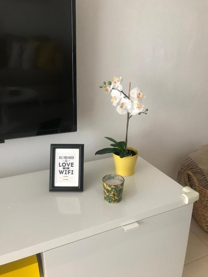 Designer'S Flat - 3 Bdrm - Wifi - Best Location Alicante Exteriör bild